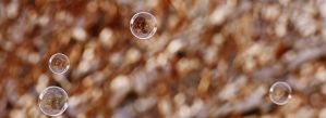 soap bubble 1949897 340