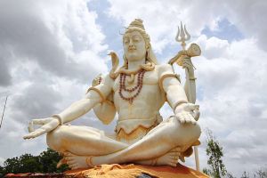 shiva 800